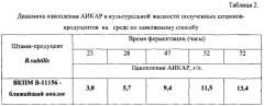 Бактерия bacillus subtilis, продуцирующая 5`-аминоимидазол-4-карбоксамидрибозид (аикар), и способ микробиологического синтеза аикар путем культивирования такой бактерии (патент 2542387)