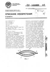 Пакет для ядохимиката (патент 1433405)