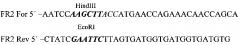 Рекомбинантный штамм vv-gmcsf-lact вируса осповакцины, обладающий онколитической активностью и продуцирующий гранулоцитарно-макрофагальный колониестимулирующий фактор человека и онкотоксический белок лактаптин (патент 2604187)