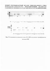 Новый рекомбинантный штамм мицелиального гриба penicillium canescens cs15, продуцирующий целлюлазу clostridium thermocellum, и способ его культивирования (патент 2612158)