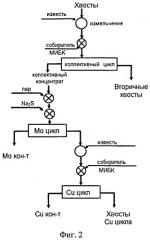 Способ флотационной переработки текущих и лежалых хвостов обогащения, содержащих минералы меди и молибдена (патент 2539448)