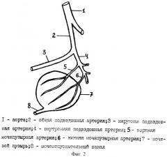 Способ лечения хронического цистита (патент 2264204)