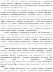 Способ получения l-аминокислоты с использованием бактерии, принадлежащей к роду escherichia (патент 2395579)