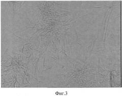 Способ получения микрокапсул аминокислот в альгинате натрия (патент 2565408)