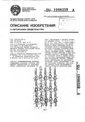Основовязаный трикотаж (патент 1046359)