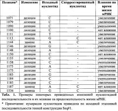 Оптимизированная нуклеотидная последовательность и фармацевтическая композиция на ее основе с пролонгированной экспрессией трансгена vegf (патент 2612497)