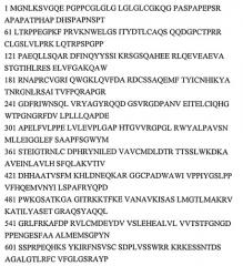 Нейротропное лекарственное средство и способ лечения органических заболеваний нервной системы, психоорганического синдрома и энцефалопатий различного генеза (патент 2536234)