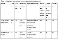 Способы получения молекулярных конструкций, содержащих антигенные эпитопы актуальных аллергенов и сигнальные пептиды, обладающие иммунорегуляторными свойствами (патент 2622004)