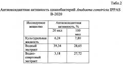 Способ стимуляции роста и развития растений, повышения урожайности и защиты от фитопатогенных грибов в аридной зоне (патент 2634387)