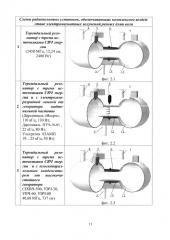 Радиоволновые установки для термообработки сырья (патент 2626156)