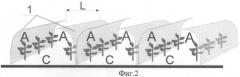 Способ создания условий для выращивания теплолюбивых овощных культур в условиях открытого грунта и устройство для его реализации (патент 2479986)