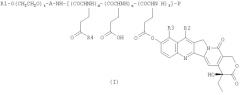 Высокомолекулярные производные камптотецинов (патент 2315782)