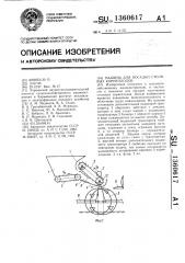 Машина для посадки столовых корнеплодов (патент 1360617)