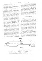 Устройство для сортировки яиц (патент 1331463)