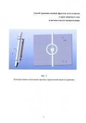 Способ хранения овощей, фруктов, ягод и цветов в среде инертного газа и система для его осуществления (варианты) (патент 2632865)