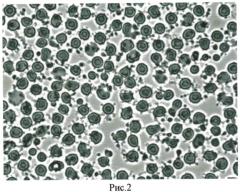 Способ оценки состояния цитоскелета эритроцитов (патент 2572335)
