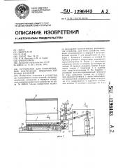 Устройство для гуммирования внутренних поверхностей полых изделий (патент 1296443)