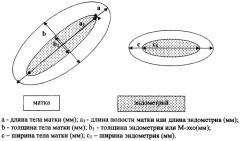 Способ ультразвуковой диагностики гиперпластических процессов эндометрия (патент 2267993)