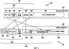 Способ создания кадра оам гибридной сети ethernet/tmpls и соответствующие сигналы (патент 2471302)