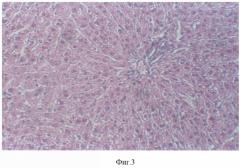 Гепатопротектор (патент 2325158)