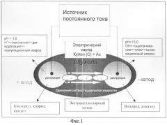 Способ электролизной деструкции нерезектабельных злокачественных опухолей печени (патент 2326618)