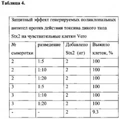 Нетоксичный рекомбинантный шига токсин 2-го типа (stx2) (патент 2573924)