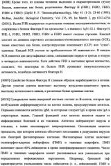 Иммуногенная композиция и способ разработки вакцины, основанной на участках связывания фактора н (патент 2364413)