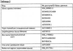 Клетка-хозяин, содержащая вектор для продуцирования белков, требующих гамма-карбоксилирования (патент 2415934)