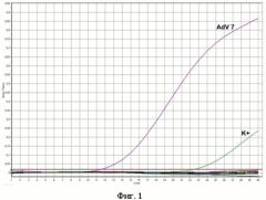 Набор олигодезоксирибонуклеотидных праймеров и флуоресцентно-меченого зонда для идентификации днк аденовируса серотипов 3,4,7,14,21 методом гибридизационно-флуоресцентной полимеразной цепной реакции (патент 2511043)
