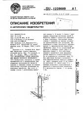 Вертикальная горная выработка для выдачи полезного ископаемого (патент 1259009)