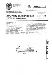 Устройство для удаления льда с троллей (патент 1081022)