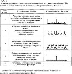 Штамм гибридных культивируемых клеток животных mus musculus l. en-4e4 - продуцент моноклональных антител против эндоглина (cd105) человека (патент 2604192)