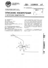 Направляющий аппарат ю.с.пунсона для лопастного движителя судна (патент 1239032)