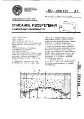 Мелиоративная система (патент 1231120)