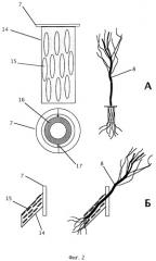 Устройство и способ для интенсивного выращивания растений (патент 2383127)