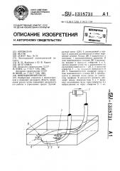 Вибрационный насос (патент 1318731)