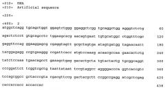 Рекомбинантное однодоменное антитело, способное специфически связывать фактор некроза опухолей человека, и его производные (патент 2530553)