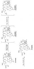 Аналоги галихондрина в (патент 2517167)