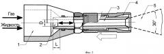 Устройство для распыления жидкости в газовой среде с образованием газокапельной струи с высокой кинетической энергией (патент 2442627)