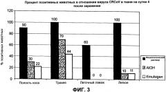 Композиции для лечения и предупреждения комплекса респираторных заболеваний собак (патент 2553222)