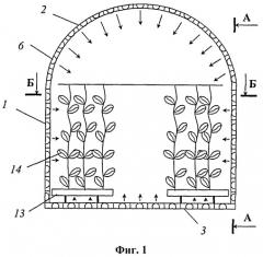 Вегетационная установка (патент 2394420)