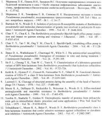 Инсерционный мутант burkholderia pseudomallei - модельный штамм для молекулярно-генетического анализа механизмов формирования множественной антибиотикорезистентности у патогенных буркхольдерий (патент 2413763)