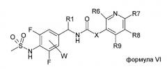 Новые соединения, их изомер или их фармацевтически приемлемые соли в качестве антагониста ванилоидного рецептора и содержащая их фармацевтическая композиция (патент 2448108)