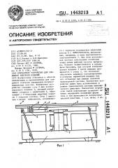 Контактное устройство для зондового контроля изделий (патент 1443213)