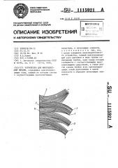 Устройство для многоцветной печати (патент 1115921)