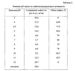 Препарат для биодеградации нефтепродуктов 