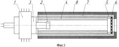 Устройство для предпосевной обработки семян (патент 2487520)