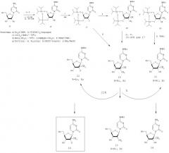 Способ получения алкилзамещенных 2-дезокси-2-фтор-d-рибофуранозил-пиримидинов и пуринов и их производных (патент 2407747)