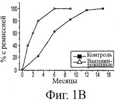 Комплементарный пептид к основному иммуногенному району рецептора ацетилхолина, терапевтическая композиция на его основе, способ изготовления пептида и его применение (патент 2422458)