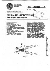 Садовые ножницы (патент 1087115)